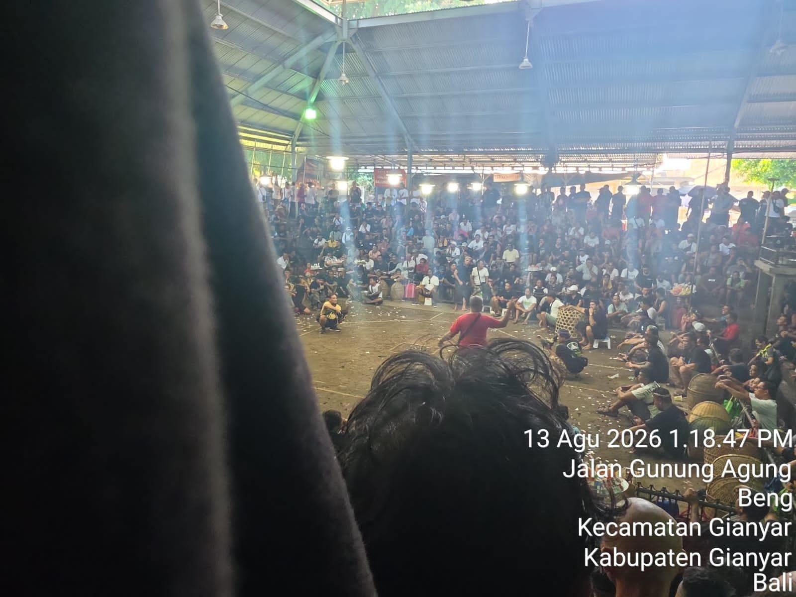 Arena Tajen Setra Beng Disorot, Ribuan Bebotoh Diduga Berjudi Dekat Polres Gianyar